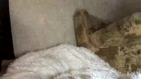 Snapshot of martaluna_ chatting on November 27, 7:54 am Marta online show from November 27, 7:54 am