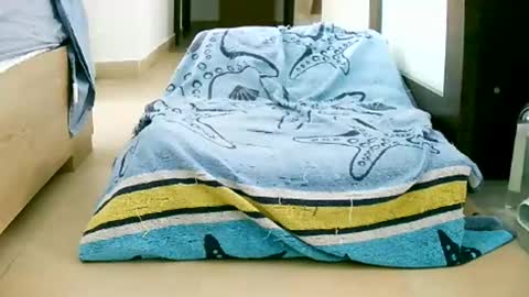 Snapshot of martinas_fantasies chatting on October 12, 10:58 am Play with me I obey I promise  online show from October 12, 10:58 am