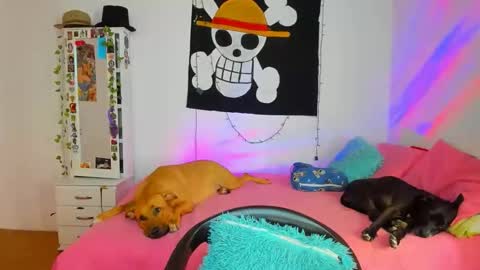 mary online show from April 18, 7:07 pm