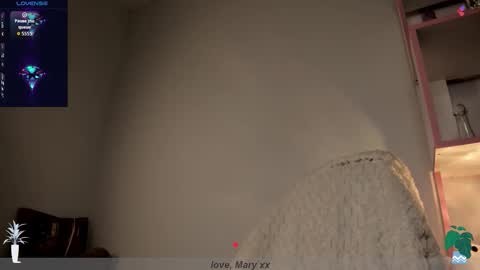 Mary GTM3Mon Wed Thu Sat Sun 0400 am-1030pm online show from November 24, 1:05 am