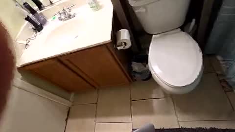 maskedmagikstik online show from December 2, 11:48 am