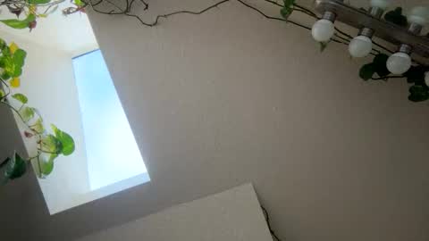 Snapshot of masturbatingmariamiller chatting on November 28, 4:53 pm masturbatingmariamiller online show from November 28, 4:53 pm