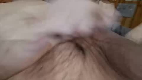 Snapshot of masturbator469658 chatting on November 7, 2:50 pm masturbator469658 online show from November 7, 2:50 pm