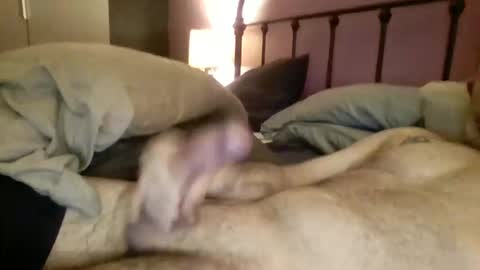 Snapshot of matrixdog69 chatting on November 4, 4:06 pm matrixdog69 online show from November 4, 4:06 pm