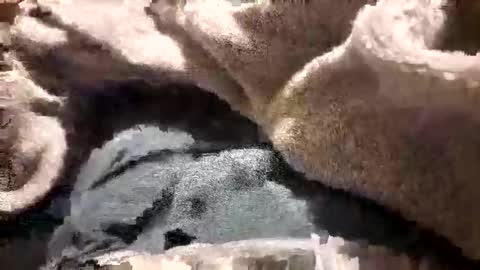 Snapshot of mattca80 chatting on October 26, 2:50 am mattca80 online show from October 26, 2:50 am