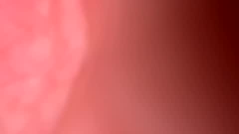 Freekster online show from March 31, 6:30 pm