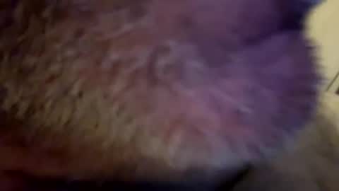 maverick7000 online show from February 23, 8:17 am