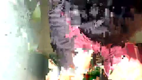 Snapshot of maximo_vega_new chatting on February 5, 11:44 am Maximo Aron Vega online show from February 5, 11:44 am