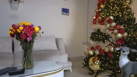 Sebastian online show from December 7, 1:14 am