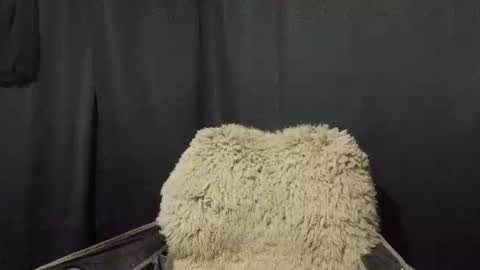 Max online show from January 7, 11:16 am