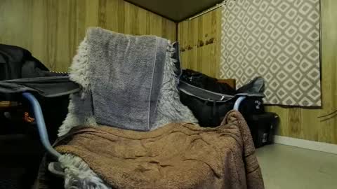 Max online show from February 3, 9:08 am