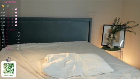 My name Casey  online show from February 2, 1:45 am