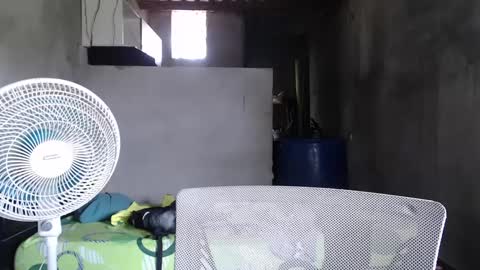 Mcgregor online show from December 27, 5:16 pm