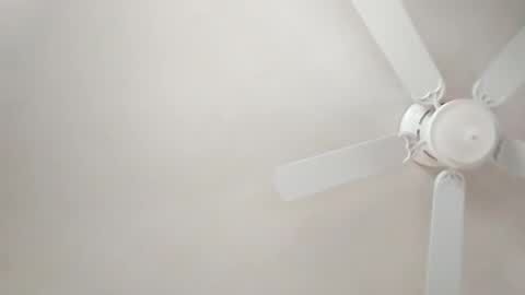 mcwire4 online show from January 1, 5:44 pm