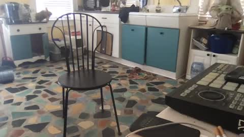 mdman32 online show from February 28, 3:15 pm