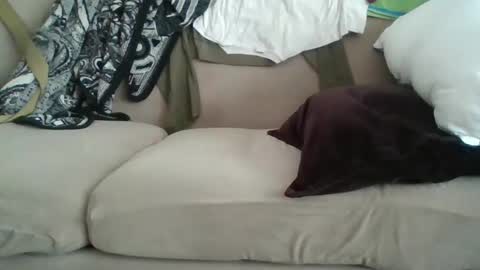 Snapshot of me_likey88 chatting on February 8, 8:42 pm yung n hung online show from February 8, 8:42 pm