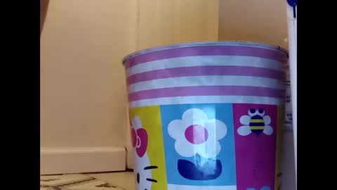 meaderd740870 online show from January 23, 4:19 am