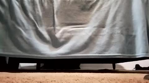 Snapshot of megacock420420 chatting on December 10, 2:27 am megacock420420 online show from December 10, 2:27 am