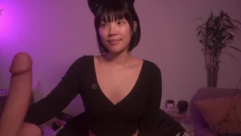  for more 3 online show from October 15, 2:33 am