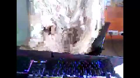 meks5544 online show from April 12, 11:15 am