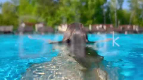 Adel online show from January 14, 7:08 pm