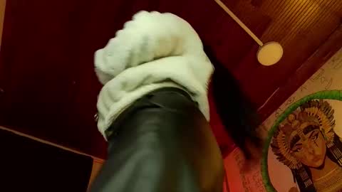 michell online show from January 16, 10:58 pm