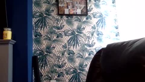 melony_bigd online show from November 8, 11:54 am