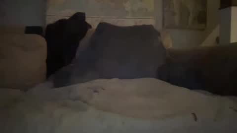 Snapshot of melt13 chatting on January 1, 2:41 am melt13 online show from January 1, 2:41 am