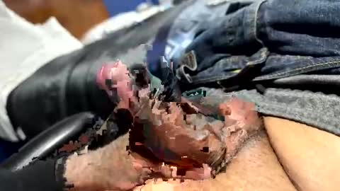 meminpeneguin online show from March 6, 7:57 am