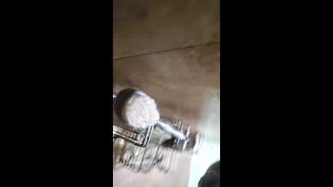 men_seeker online show from February 12, 12:49 am