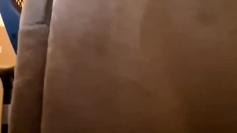 DutchFun Cock online show from January 6, 4:32 pm