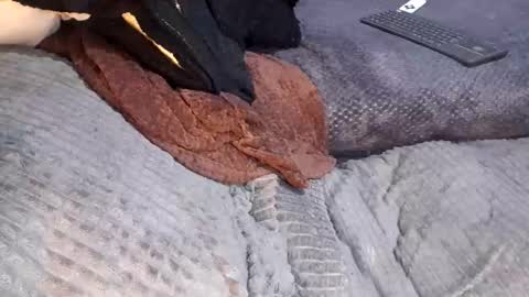 Giorggio Fragacci online show from April 10, 5:12 am