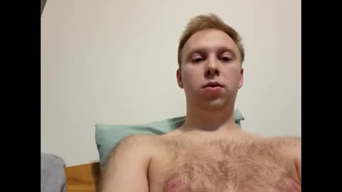 meow732 online show from November 1, 7:05 pm