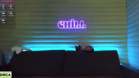  NIKKY  STIVE     Every day from 1000  to 200  EST time. online show from January 6, 5:08 am