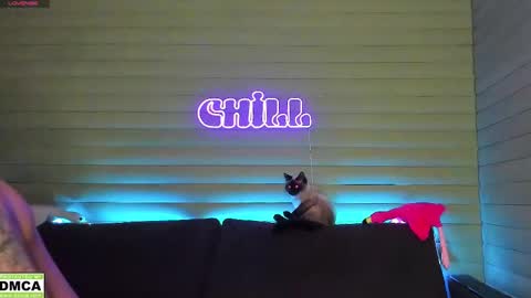  NIKKY  STIVE     Every day from 1000  to 200  EST time. online show from January 11, 3:31 pm