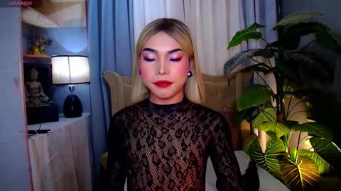 Snapshot of metawinathan chatting on November 25, 3:17 am myka online show from November 25, 3:17 am