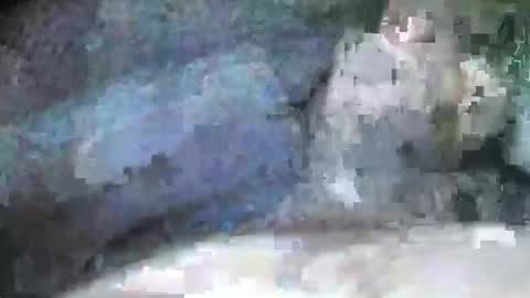 Snapshot of mexianthehawk chatting on September 28, 9:09 pm mexianthehawk online show from September 28, 9:09 pm