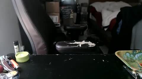 Snapshot of miaking chatting on October 12, 4:39 pm Mark online show from October 12, 4:39 pm