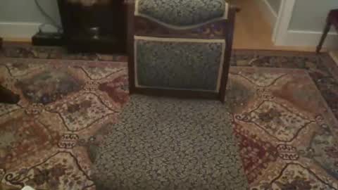 miamiwrestler online show from December 22, 2:41 am