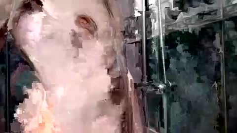 Snapshot of mickavis1975 chatting on January 1, 5:55 pm mickavis1975 online show from January 1, 5:55 pm