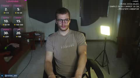 Snapshot of mickey_pict chatting on December 10, 4:45 am Mickey online show from December 10, 4:45 am