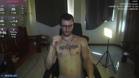 Snapshot of mickey_pict chatting on December 11, 5:43 am Mickey online show from December 11, 5:43 am