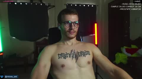 Snapshot of mickey_pict chatting on December 25, 5:26 am Mickey online show from December 25, 5:26 am