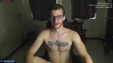 Snapshot of mickey_pict chatting on December 29, 6:03 am Mickey online show from December 29, 6:03 am