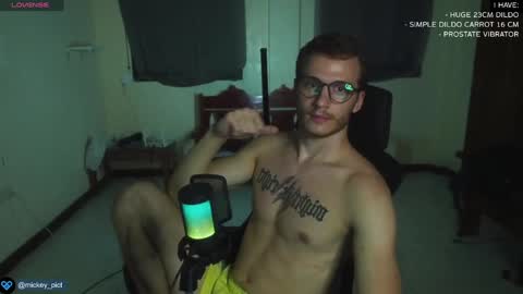 Snapshot of mickey_pict chatting on December 30, 1:25 pm Mickey online show from December 30, 1:25 pm