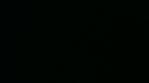 micwalrus online show from March 5, 4:36 pm