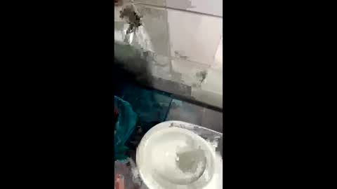 Maik17 online show from November 17, 12:55 pm