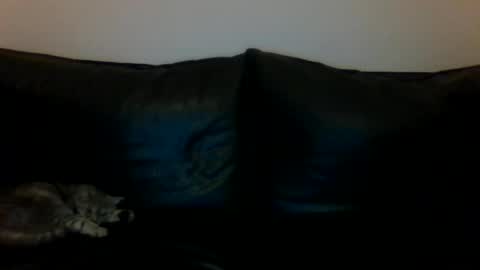 MilaGabor online show from November 16, 6:24 pm