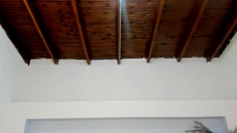 Snapshot of milarose4 chatting on January 6, 11:18 am Mila Rose online show from January 6, 11:18 am