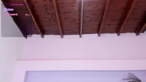 Snapshot of milarose4 chatting on January 11, 12:18 pm Mila Rose online show from January 11, 12:18 pm